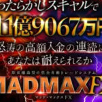マッドマックスFX(MAD MAX FX) 株式会社WorksAgency 金本 浩 どうなの？
